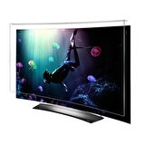 Bestomark Kristalize Panel Samsung 48JS8500 Tv Ekran Koruyucu Curved Ekran