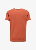 Fabrika Bisiklet Yaka Düz Kiremit Erkek T-Shirt F4SM-TST 0103