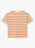 Çizgili Turuncu Erkek T-Shirt D4SB-TST3037