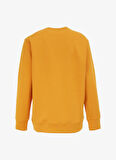 Hardal Erkek Bisiklet Yaka Relaxed Fit Baskılı Sweatshirt D4WM-SWT3225