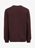 Kahve Erkek Bisiklet Relaxed Fit Nakışlı Sweatshirt D4WM-SWT3276