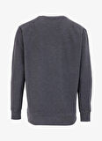 Antrasit Melanj Erkek Bisiklet Yaka Relaxed Sweatshirt D4WM-SWT3931