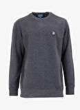 Antrasit Melanj Erkek Bisiklet Yaka Relaxed Sweatshirt D4WM-SWT3931