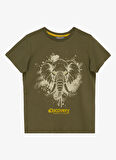 Discovery Expedition Baskılı Haki Erkek Çocuk  T-Shirt D5SB-TST3223