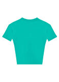 Discovery Expedition Baskılı Mint Erkek Çocuk T-Shirt D5SB-TST3214