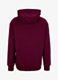 Discovery Expedition D5WM-SWT3881 Bordo Kapüşon Yaka Relaxed Baskılı Erkek Sweatshırt