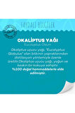 Okaliptus Yağı 10 ml (SOĞUK SIKIM)