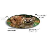  Puma Cam Saat - 40 cm