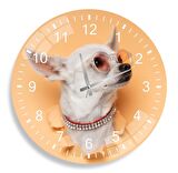 Gözlüklü Köpek Cam Saat - 40 cm