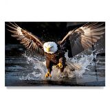 Kartal Cam Tablo