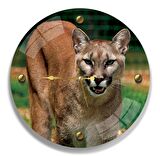 Puma Cam Saat - 40 cm