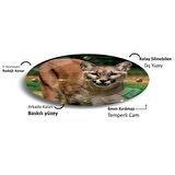 Puma Cam Saat - 40 cm