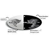 Leopar Cam Saat - 40 cm