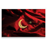 Al Bayrak Kanvas Tablo