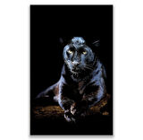 Panter Kanvas Tablo