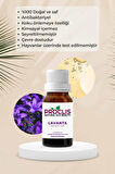 PROCLİS Lavanta Yağı, %100 Doğal Uçucu Yağ, Lavander Oil 10 ml Sprey Başlıklı