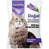Magic Power Koku Giderici Lavanta 25 Gr