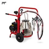 Melasty Compact Tekli İnek Süt Sağma Makinesi (Paslanmaz Güğüm - Silikon Memelik) (Kuru Pompa)