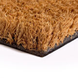 Decovetro Paspas Kalp Home Desenli Kapı Önü Paspası 40 x 60 cm