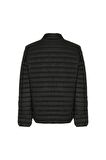Lumberjack ML STAR1OW1000 4FX101688009 Erkek Mont Siyah S-XXL 