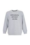 defy's ERKEK BASKILI UZUN KOLLU BİSİKLET YAKA SWEATSHIRT GRİ - XL