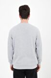 defy's ERKEK BASKILI UZUN KOLLU BİSİKLET YAKA SWEATSHIRT GRİ - XL