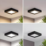 Maxled MX-1066B - 12W 6500K Soğuk Beyaz | Siyah Kasa Sıva Üstü Kare LED Panel