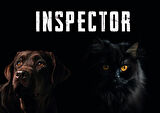 Mamator Hipoalerjenik Inspector Kitten Yavru Kedi Maması 15 KG