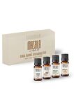 Bolluk Bereket Aromaterapi Seti - Blessing Aromatherapy Kİt (Tarçın-Karanfil-Portakal-Bergamot Yağı ) 4 x 10 ml