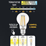 Heka 3 Renkli Led Filament Rustik Ampul 6W E27 A60 ERD-261