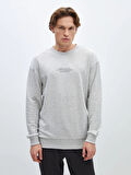 LCW Casual GRİ Bisiklet Yaka Uzun Kollu Baskılı Erkek Sweatshirt