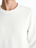 LCW Vision EKRU Bisiklet Yaka Uzun Kollu Erkek Sweatshirt