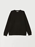 LCW Vision SİYAH Bisiklet Yaka Uzun Kollu Erkek Dokulu Sweatshirt