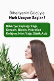The Ceel Rosemary Biberiye Shampoo 250 ml
