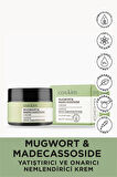Mugwort & Madecassoside Yatıştırıcı ve Onarıcı Nemlendirici Krem|Mugwort&Madecassoside Cream 50ml