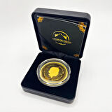 AgaKulche İkon Marilyn Monroe Altın Sikke Coin