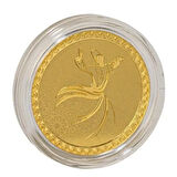AgaKulche Mevlana 1/2 Ons 2024 Altın Sikke Coin