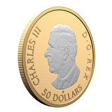 AgaKulche Maple Leaves in Motion 2025 Altın Kaplama Gümüş Sikke Coin