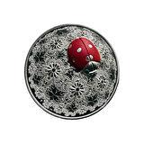 AgaKulche Uğur Böceği Gümüş Sikke Coin