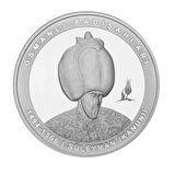AgaKulche Kanuni Sultan Süleyman Osmanlı Gümüş Sikke Coin