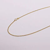 AgaKulche Altın Zincir Doç