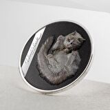 AgaKulche Beyaz Kedi 2024 Gümüş Sikke Coin