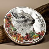 AgaKulche Sincap Gümüş Sikke Coin