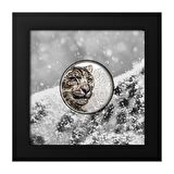 AgaKulche Kar Leoparı Gümüş Sikke Coin