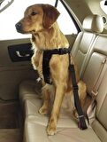 TİNEKE Evcil Hayvan Araç Emniyet Kemeri Kedi Köpek Araba Oto Tasması Oto Aksesuarları SİYAH