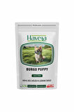 Burgu Çubuk Puppy 100 Adet