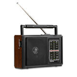 Polosmart FS74 Nostaljik Radyo Siyah