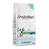 Anatolian Premium Mini Puppy Lamb Kuzulu Küçük Irk Yavru Köpek Maması 2 Kg