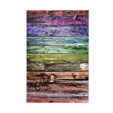 Dekoreko Kaymaz Taban Djt Banyo Halısı Star Pamuk Modern Mu136