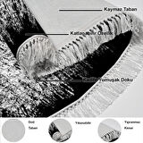 Dekoreko Kaymaz Taban Djt Salon Halısı Trend Saçaklı Oval Modern 1342